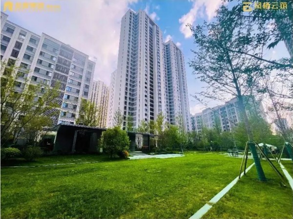 1699409351683970.jpg 配圖 (3).JPG